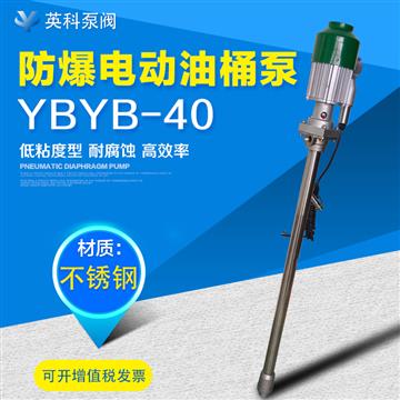 手提式電（diàn）動抽液泵